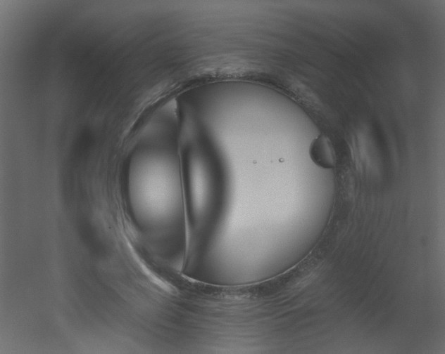 X0000051910638200506241444