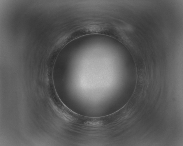 X0000051910639200506241444