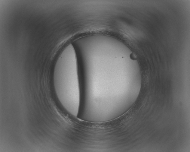 X0000051910640200506241444