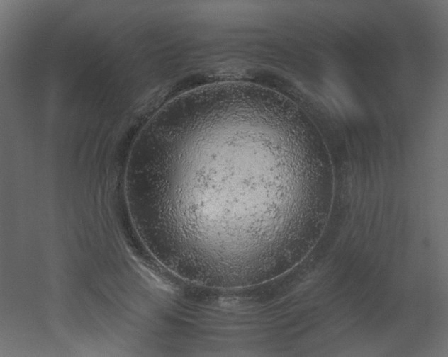 X0000051910641200506241444