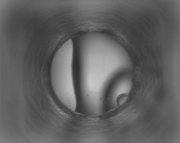 X0000051910642200506241444