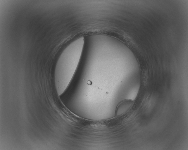 X0000051910644200506241444