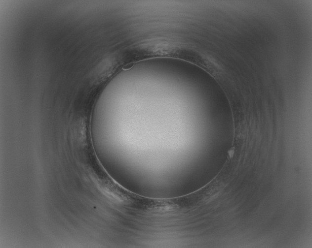 X0000051910646200506241444