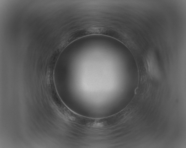 X0000051910647200506241444