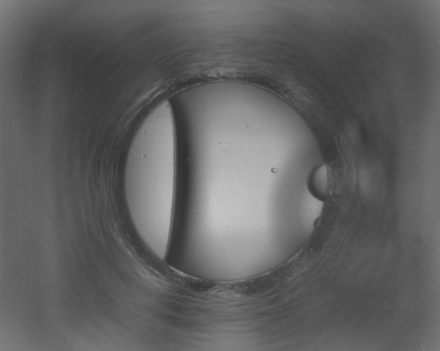 X0000051910648200506241444