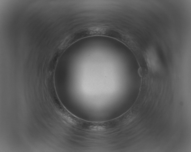 X0000051910649200506241444