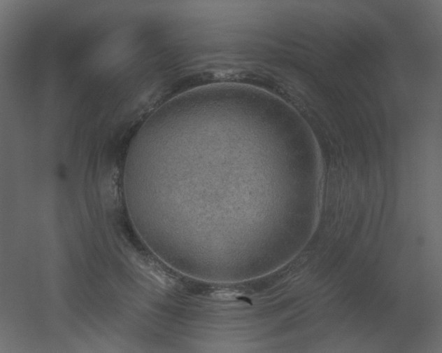 X0000051910650200506241444