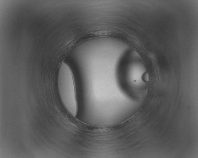 X0000051910652200506241444