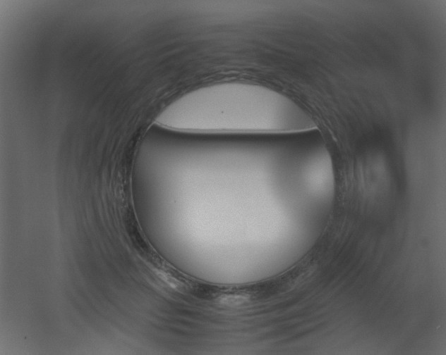 X0000051910653200506241444