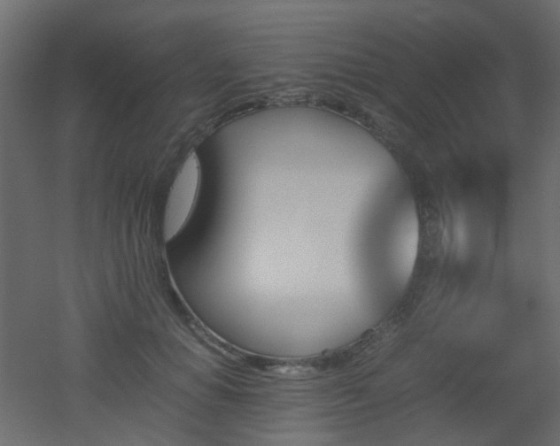 X0000051910654200506241444