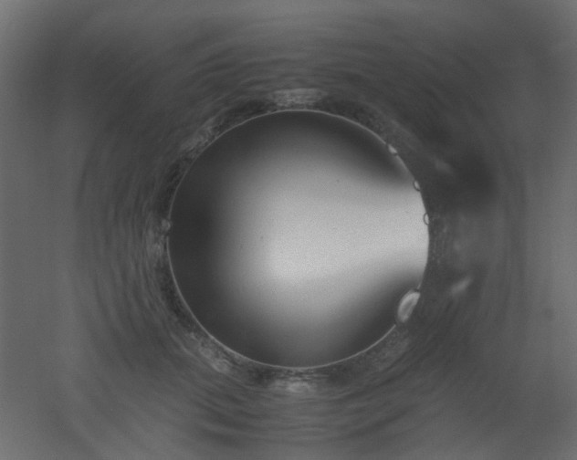 X0000051910655200506241444