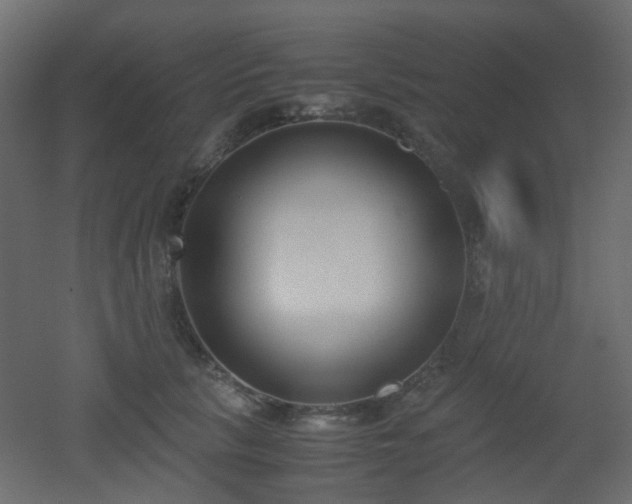 X0000051910657200506241444