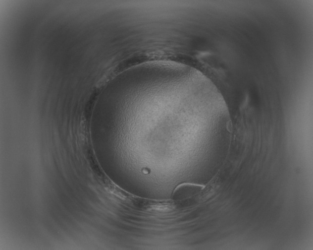 X0000051910659200506241444