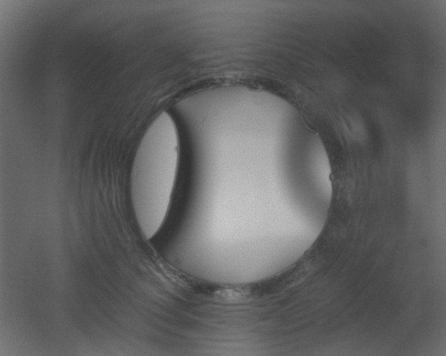 X0000051910660200506241444