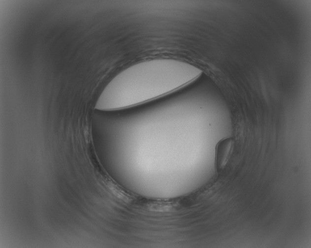 X0000051910661200506241444