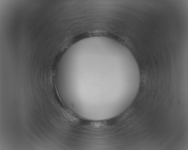 X0000051910662200506241444