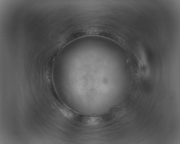 X0000051910663200506241444