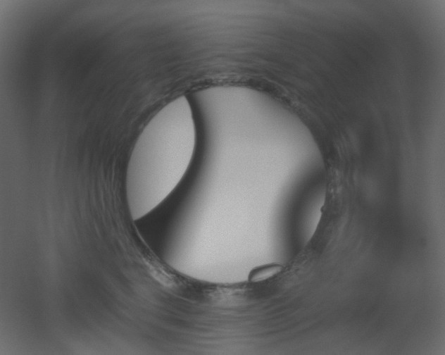 X0000051910664200506241444