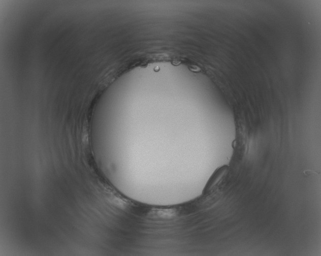 X0000051910665200506241444