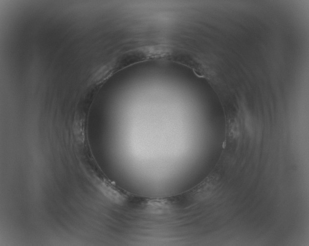 X0000051910666200506241444