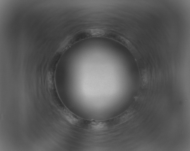 X0000051910667200506241444