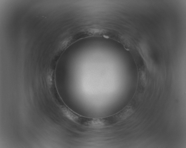 X0000051910668200506241444