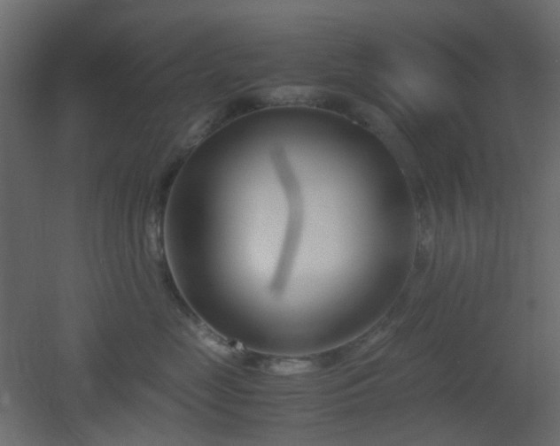 X0000051910669200506241444