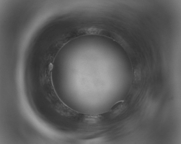 X0000051910671200506241444