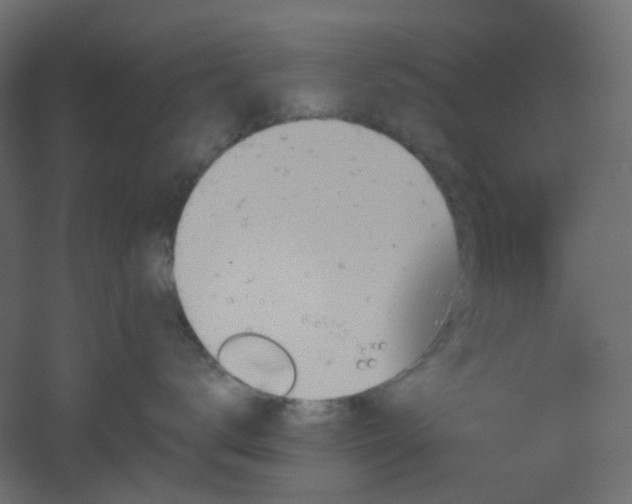 X0000051910672200506241444