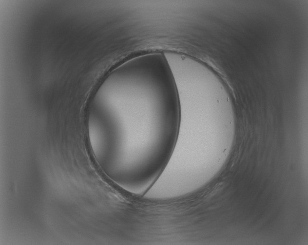 X0000051910673200506241443