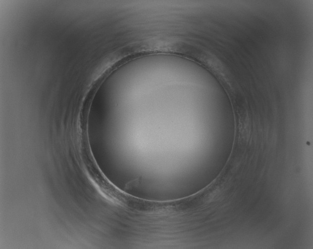 X0000051910674200506241443