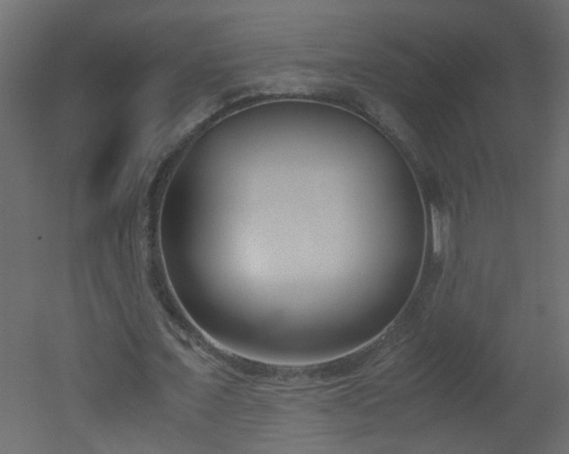 X0000051910675200506241443