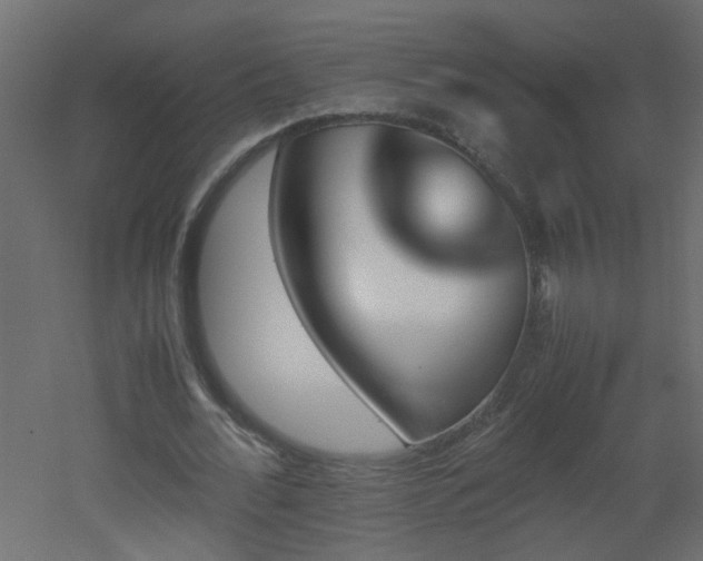 X0000051910676200506241443