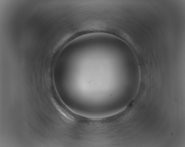 X0000051910677200506241443