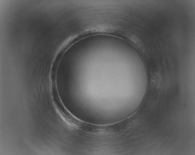 X0000051910678200506241443