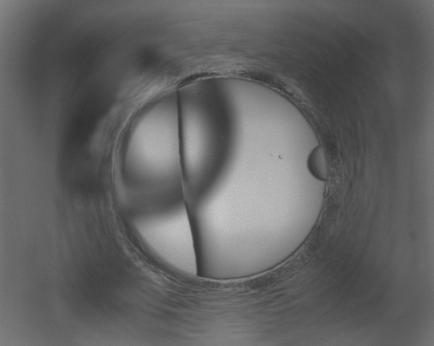 X0000051910679200506241443