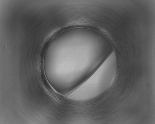 X0000051910680200506241443