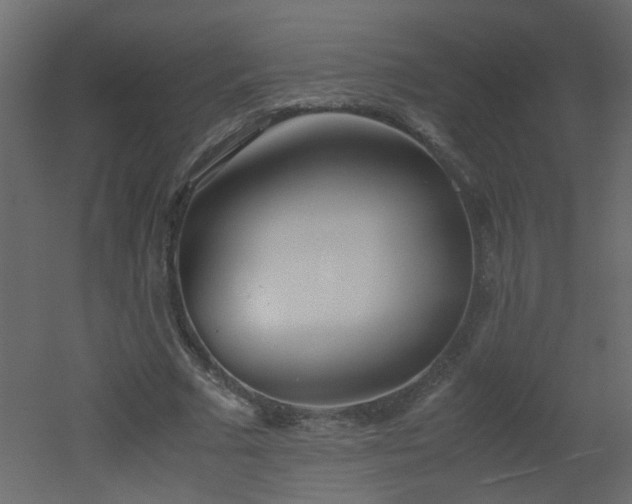 X0000051910681200506241443