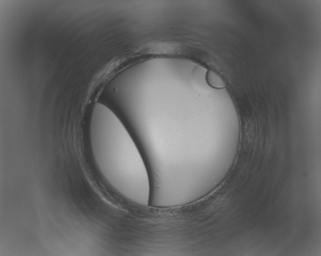 X0000051910682200506241443