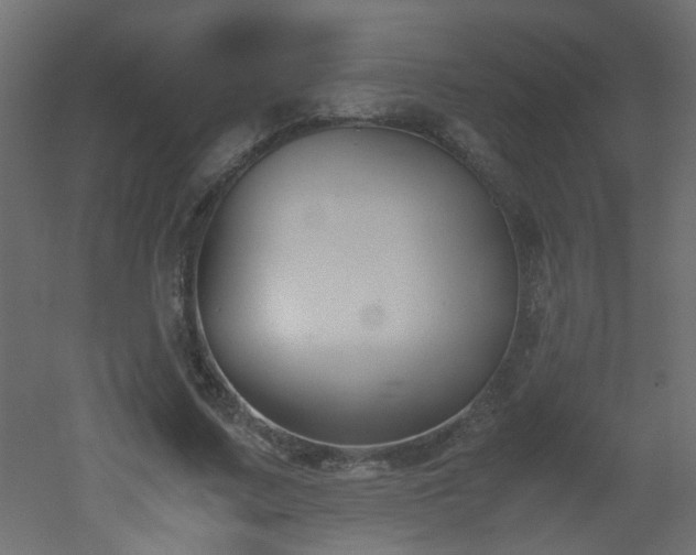 X0000051910683200506241443