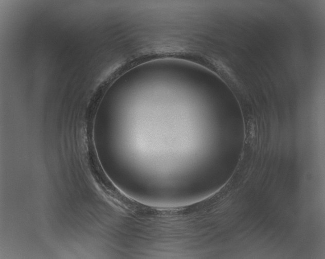 X0000051910684200506241443