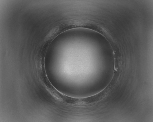 X0000051910685200506241443