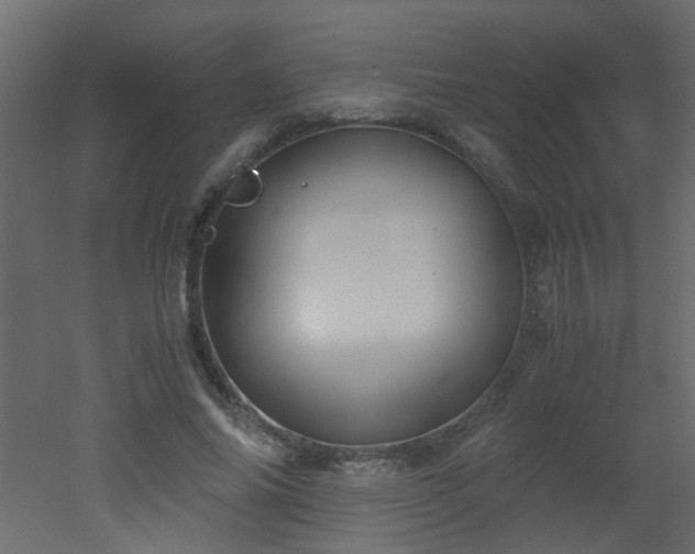 X0000051910686200506241443