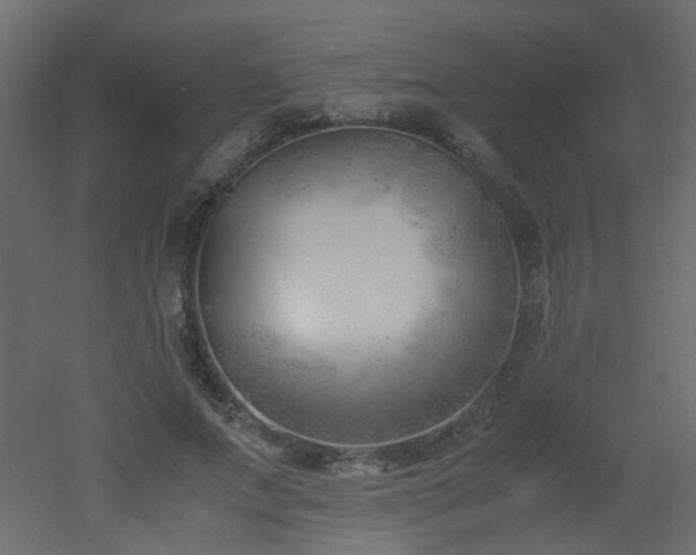 X0000051910687200506241443