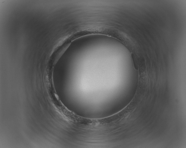 X0000051910688200506241443