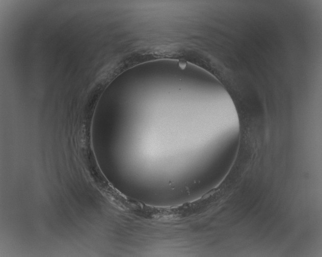 X0000051910689200506241443