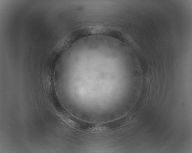 X0000051910691200506241443