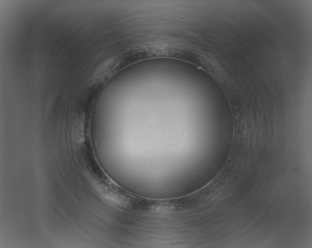 X0000051910694200506241443