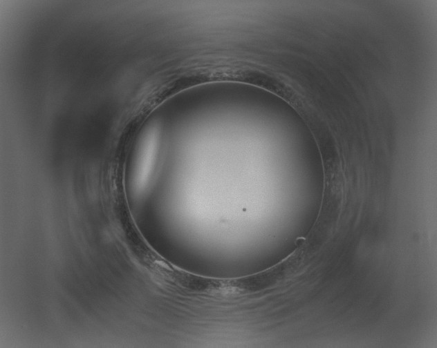 X0000051910695200506241443