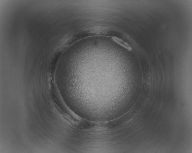 X0000051910696200506241443